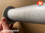 ニッケル合金鋼管フィッティング ASTM B366 UNS N10675,ハステロイ B3 ラップ合同ストップエンド