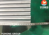 ASTM A213 TP321, 1.4541 ステンレス鋼のシームレスボイラー管