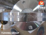 ステンレス鋼のフランジ、SORF、WNFF、DIN2573、A182、F304、304L、304H、SS316、316L、B16.5
