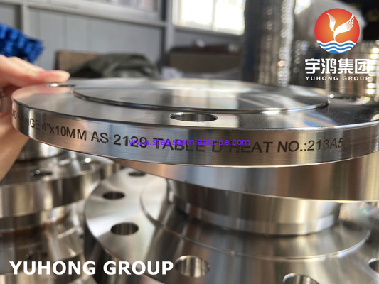 A182 F316L 圧力管管システムで使用される不鋼鋼ブラインドフレンズ