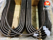 ASTM A213 T9の合金鋼継ぎ目が無いUのくねりの管の熱交換器の管