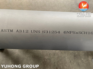 ASTM A312 UNSのS31254/254SMO二重ステンレス鋼の継ぎ目が無い管