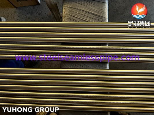 冷加工 ASTM A269 TP304L 明るい焼却式ステンレスステールシームレスチューブ