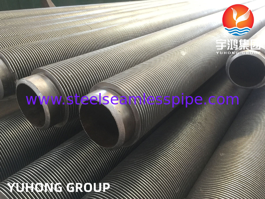 ASTM A312 TP316L 不同鋼のフィンパイプ HFWタイプ