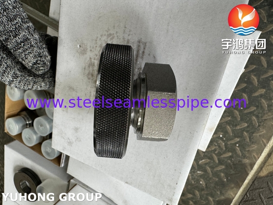 A105 炭素鋼のフィッティングスレッド ヘックスヘッドプラグ ASTM A105 ASME B16.11