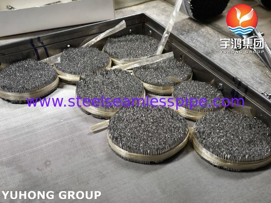 ステンレス鋼注射針チューブ, SUS304 16G 動物ケアのための獣医用針