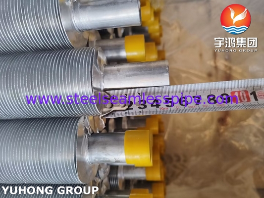 ASME SA249 TP316L ローンドフィンチューブとAl1100フィンストライプ