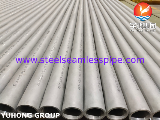 ASTM A213 / ASME SA213 TP321 ステンレス鋼のシームレス熱交換管