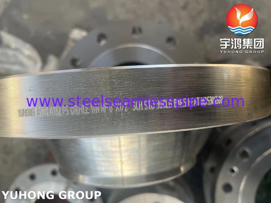 ASTM A182 F5 合金鋼 鋳造 溶接首 WN フレンズ RF B165