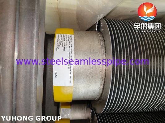 ASTM A376 TP347H ソリッド スパイラル高周波溶接 HFW フィンチューブ (11Cr)