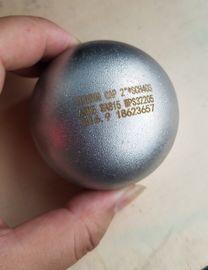 ASTM A815 UNS S32205 2205 デュプレックスステンレス鋼 脱塩用