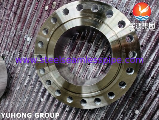 鋼フランジ ASTM B564 ニッケル合金 MONEL400 UNS N04400 WNRTJ フランジ