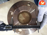 銅のニッケルの溶接の首のフランジB151 C70600/DIN 2.0872 RFのタイプ
