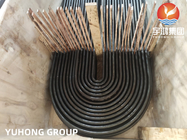 ASTM A179/ASME SA179 SMLSの炭素鋼Uは曲げる管状の熱交換器の&amp;Condenser （黒い塗る表面）のための管を