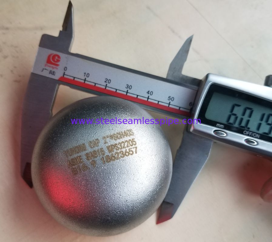 ASTM A815 UNS S32205 2205 デュプレックスステンレス鋼 脱塩用