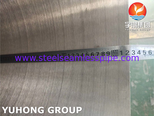 高精度のステンレス鋼の継ぎ目が無い管の二重鋼管PT HTのTP304/304L薄い壁と/UT /HT、6M//PC、12M/PC
