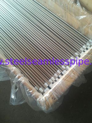 熱交換器のための明るいアニールされたステンレス鋼の管 ASTM A213/ASME SA213-10a TP304/TP304H/TP304L