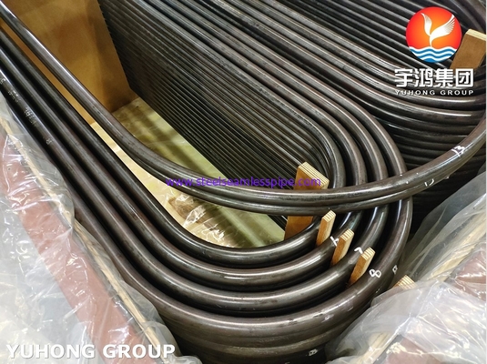 ASTM A213 T9の合金鋼継ぎ目が無いUのくねりの管の熱交換器の管