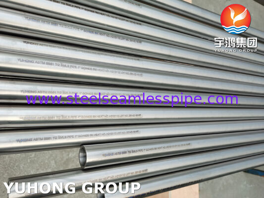 ASTM B861 Gr.2 UNS R50400 産業用タイタンシームレスパイプ